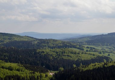 Tepe yeşili panoramik manzara