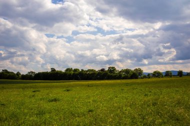 Ufukta ağaçlar ve yeşil çayırlar olan bulutlu gökyüzü