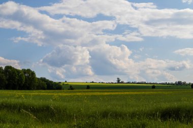İlkbahar günü bulutlu gökyüzü ile Idyllic kırsal arazisi
