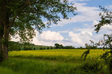 Tecavüz alanının üstündeki bulutlu gökyüzü manzarası