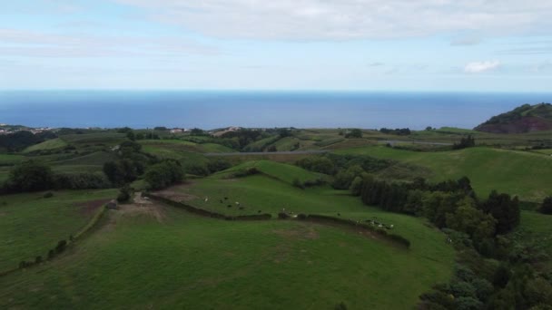 Aerial View San Miguel Island Green Fields Azores Portugal High — Vídeos de Stock