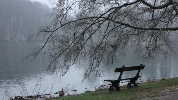 Cozy Wooden Bench Tranquil Lake Winter Park Peaceful Serene Setting — Wideo stockowe