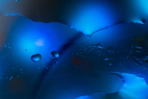 Beautiful magic circles of drops of oil on water illuminated with blue light