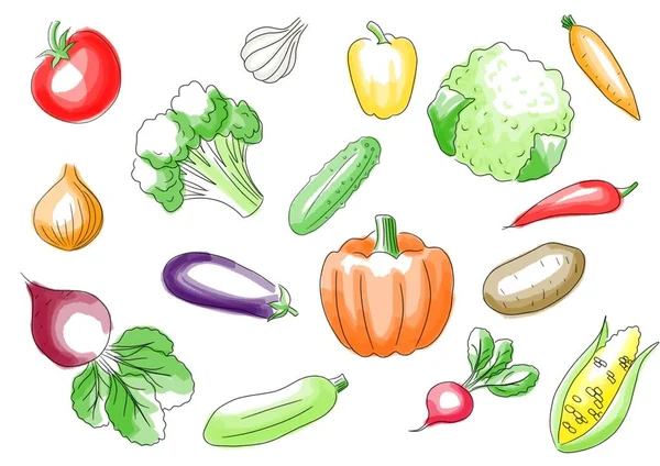 Gemüse Auf Weißem Hintergrund Skizziert — Stockfoto