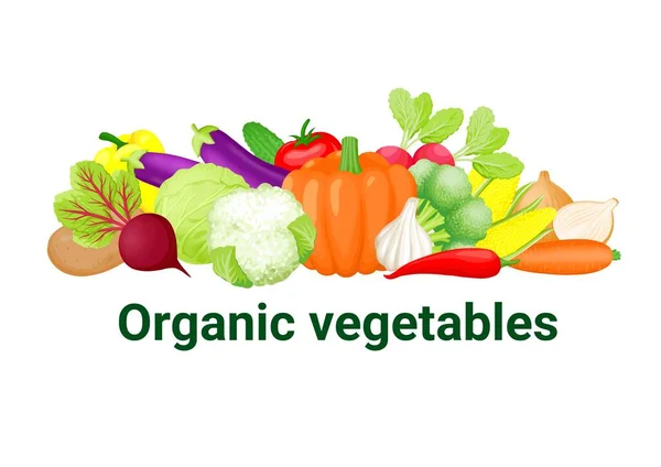 Seperangkat Sayuran Organik Pada Latar Belakang Putih — Stok Foto