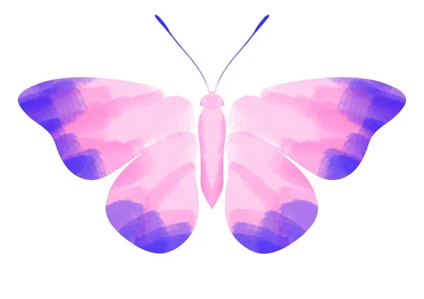 異なる色の明るい蝶に署名した オレンジ ピンク — ストック写真