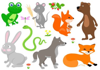 Ormanda ve tarlada yaşayan birçok vahşi hayvan ve bitki örnekleri..