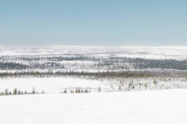 Güneşli bir kış gününde Pullivaara 'dan İsveç Laponya' sına bakın..