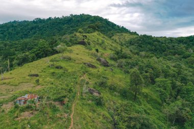 Yeşil ağaçlı tepenin manzarası