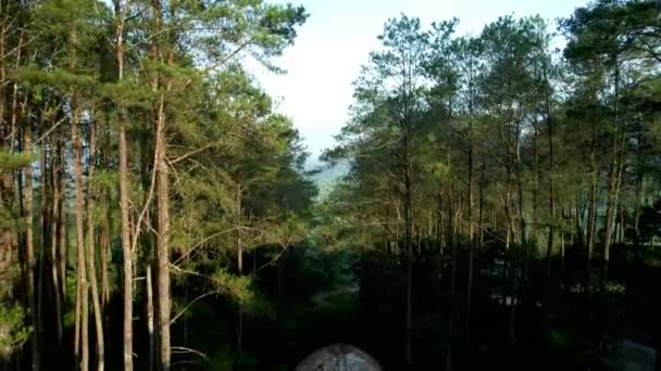 Pandangan Udara Tentang Atmosfer Alam Perbukitan Dan Hutan Kabupaten Agam — Stok Video