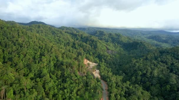 Pemandangan Udara Kawasan Hutan Hijau Dekat Desa Bonjol Kabupaten Pasaman — Stok Video