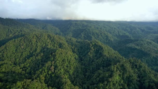 Pemandangan Udara Kawasan Hutan Hijau Dekat Desa Bonjol Kabupaten Pasaman — Stok Video