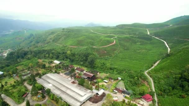 Establecer Hermoso Paisaje Drone Ver Agricultura Plantación Alahan Panjang Sumatra — Vídeos de Stock