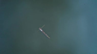 Padang Bölgesi Anıtı 'nın havadan görünüşü Padang şehrindeki en büyük anıttır. Simpang Haru 'da yer alan bu anıt, yanan bir alev şeklindedir..