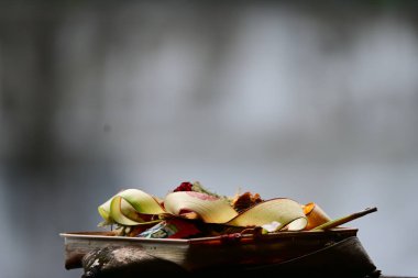 Bulanık geçmişi olan Canang sari geleneksel bir Bali Hindu gazetesidir.