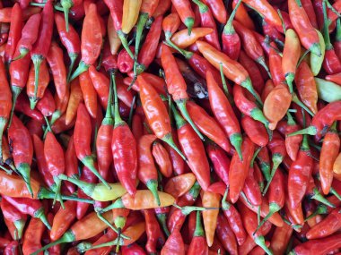 Bir torba kırmızı kırmızı biber desenli arkaplan