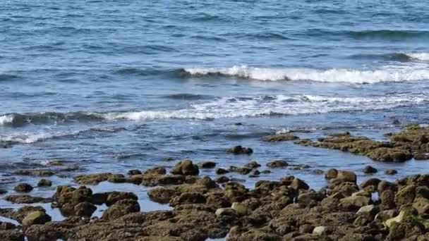 Över Korall Och Små Vågor Stranden — Stockvideo