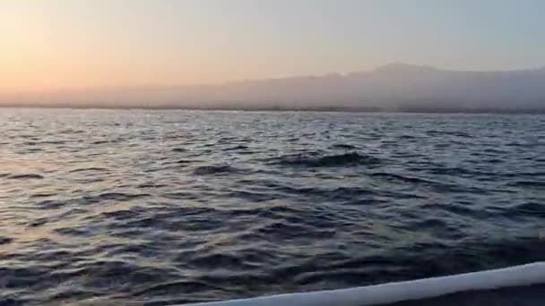 돌고래는 Lovina 인도네시아 일출에 투어를보고 — 비디오