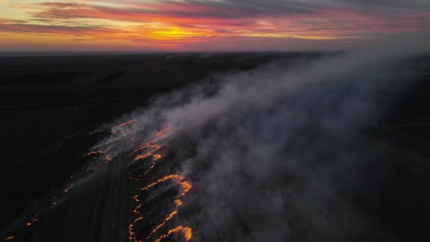 Aerial View Burning Field Fire Field Plain Fire Smoke Sunset — Wideo stockowe
