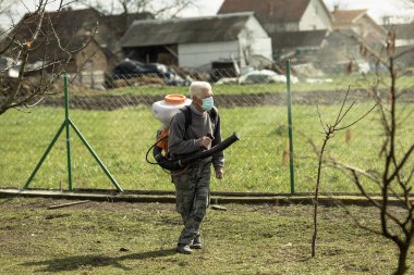 Yaşlı işçi, koruyucu maskeli emekli meyve ağaçlarını meyve bahçesine serpiştiriyor. Zehirli kimyasallarla sağlık ve koruma.