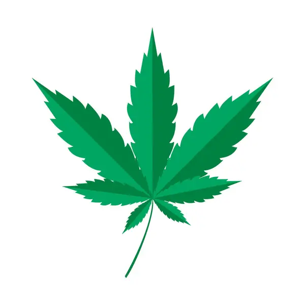 Cannabis illustration. Marijuana. Medical marijuana or cannabis. flat style