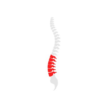 Pain in the thoracic vertebrae. Inflamed wrist, rheumatism, arthritis. Back injury