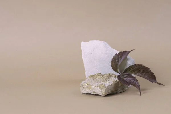 Kırmızı liana Parthenocissus yapraklı ürünler için taş bir podyum modeli. Sunum için tarafsız arkaplan. Minimum modern ürün sergisi. kavram sahnesi