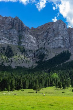 Dağların yanındaki bu güzel çayırda güneşli bir gün.