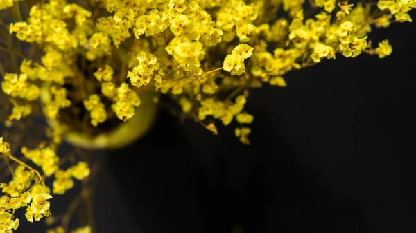 Martwa Natura Czarnym Tle Żółtymi Kwiatami Koncepcja Martwej Natury — Zdjęcie stockowe