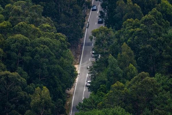Bird\'s-eye or drone view of a road illuminated by the evening sunlight surrounded by a lush green forest. Two cars are perfectly visible and two are almost camouflaged by the trees.