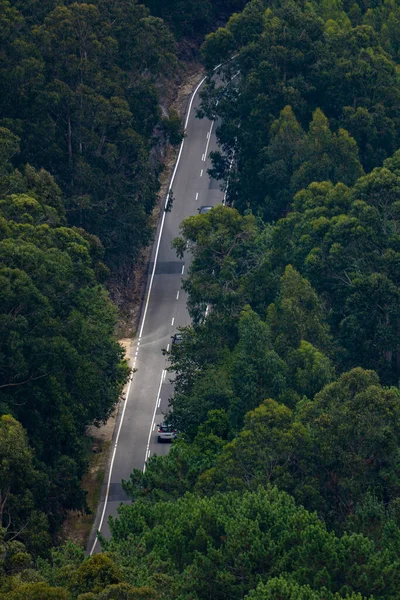 Bird\'s-eye or drone view of a road illuminated by the evening sunlight surrounded by a lush green forest. Three cars are almost camouflaged by the trees.