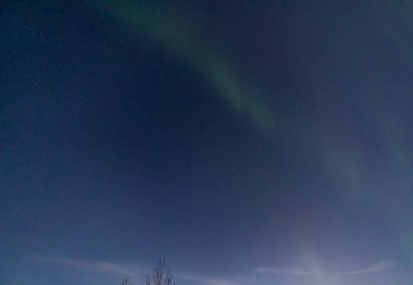 Green and purple northern lights in iceland with the sky bluish by the moon