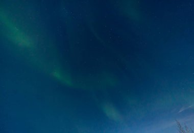 Green and purple northern lights in iceland with the sky bluish by the moon