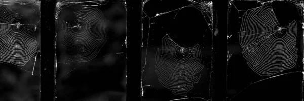 Чотири Павутини Деталях Висять Брусків Чорного Залізного Паркану Освітлені Ранковим — стокове фото