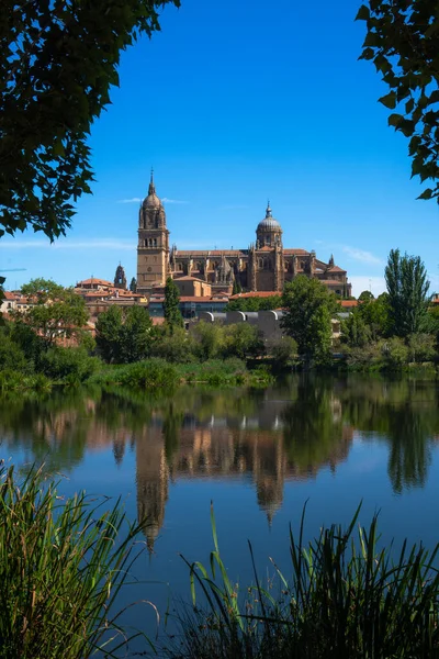 Uitzicht Omlijst Door Bomen Vegetatie Van Kathedraal Van Salamanca — Stockfoto