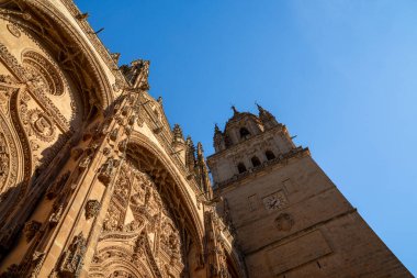 Aşağıdan ana kapıya ve kuleye bakın. Salamanca 'nın Yeni Katedrali veya Bakire Hücresi Katedrali' nin büyük hayvan, hayvan ve kimeraları..
