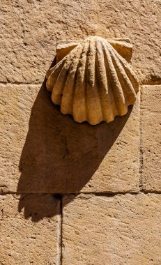 İspanya 'nın Salamanca kentindeki La Casa de las Conchas cephesinde akşam güneşi tarafından çapraz olarak gölgeli turuncu granit kayalara oyulmuş bir kabuğun hafif kabuğu. Dikey fotoğrafçılık