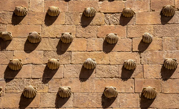 Mermi kalıpları duvarda geometrik desenler oluşturarak Salamanca 'daki Casa de las Conchas granit bloğunun ön cephesinde akşam güneşinden kalma uzamış gölgelerini yansıtıyor.
