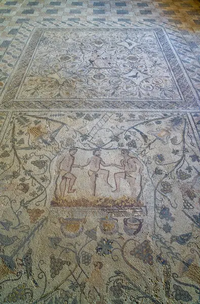 Archaeological remains of Roman mosaic floor of men holding hands crushing grapes to make wine, with branches of grapes and birds as decoration. Merida archaeological complex of Casa Mithraeum in Meri