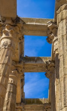 Roma 'nın Diana Tapınağı' nın granit sıra sütunlarının altından bir güvercin tünemiş, açık mavi bir gökyüzünün altında. Merida, İspanya.