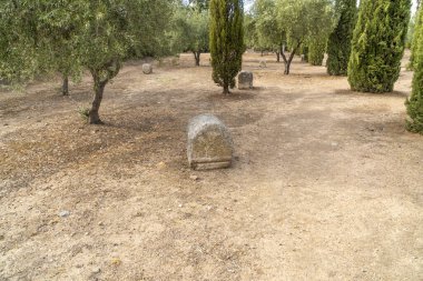 İspanya 'nın Merida kentindeki Los Columbarios mezarlığının Roma mezarlığındaki taş Roma mezar taşları ve anıt taşları ile selvi ağaçları arasındaki toprak yol..