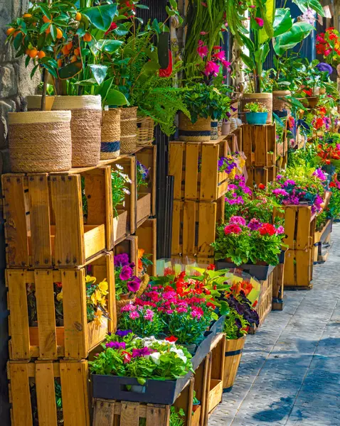 Many flowers, roses, plants and fruit trees in pots and wooden boxes beautifully displayed outside a flower shop on the sidewalk of a street in Barcelona.