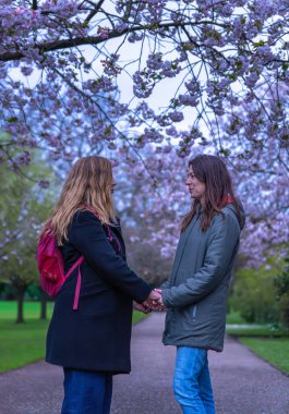 Mutlu ve sevgi dolu orta yaşlı bir lezbiyen çift birbirlerine bakıyor ve alacakaranlıkta Londra parkında kiraz çiçekleriyle çevrili bir evlilik teklifiyle el ele tutuşuyorlar..