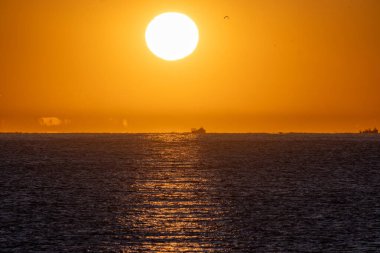 Parlak sarı gündoğumu güneşi parlıyor uçan martılar ve bir fis