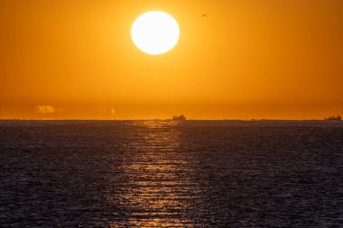 Bright yellow sunrise sun illuminating flying seagulls and a fis clipart