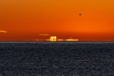 The dawn sun illuminates the horizon line of the Mediterranean Sea, creating mirages and optical illusions forming golden islands of light in the background. Seagull flying over an orange sky and a ca clipart
