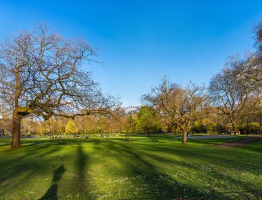 Genç öğrenciler, arkadaşlar ve aileler dinleniyor, eğleniyor, kitap okuyor ve akşam güneşinin sıcaklığıyla Londra 'daki St. James' s Park 'ın yeşil çimlerinde uzanıyor..