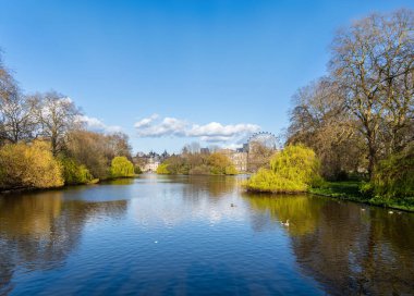 St. James 'Parkı' ndaki gölün panoramik manzarası akşam güneşiyle güzelce aydınlatılır. Suda yüzen ördekler ve açık mavi gökyüzünün altında yemyeşil bir Londra gözü vardır.
