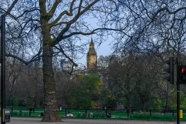 Londra 'daki Big Ben' in St. James 's Parkı' nın dalları arasında günün son saatlerinde parktaki çimlerin üzerinde oturan arkadaşlarla birlikte akşam ışığıyla aydınlanan bir bakış..