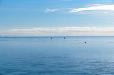 Ebro Delta 'daki Sakin Akdeniz' de iki balıkçı ve ufukta Trabucador plajı olan açık mavi gökyüzünün altında bir ördek.
